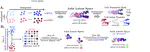 scNODE: Generative Model for Temporal Single Cell Transcriptomic Data Prediction